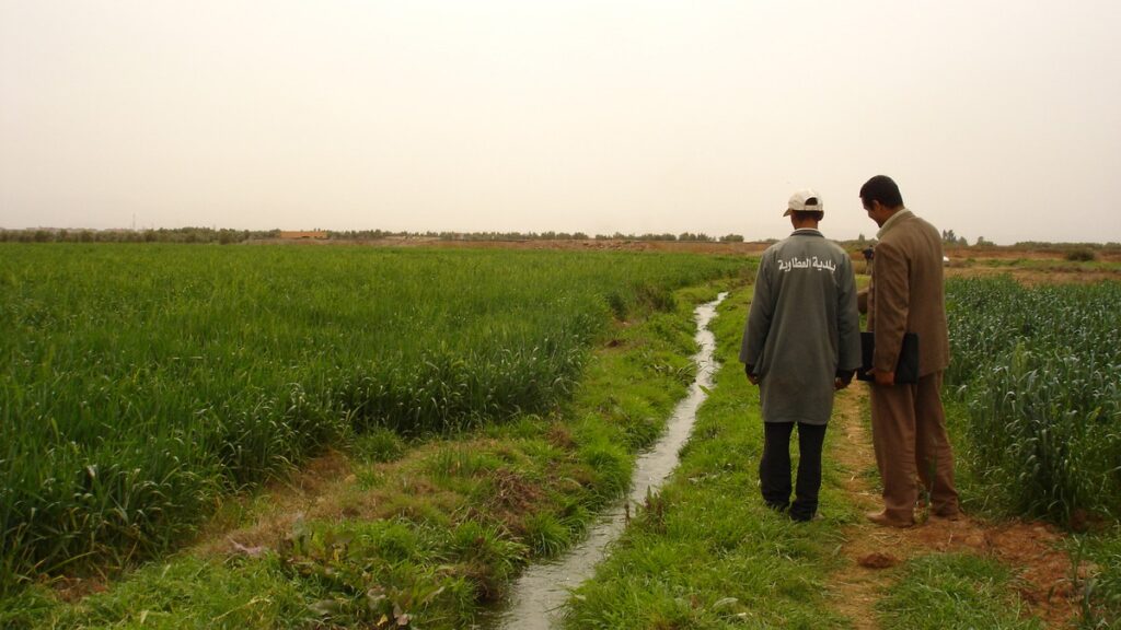 Champ irrigué au Maroc, photo d’illustration de la transformation agricole
