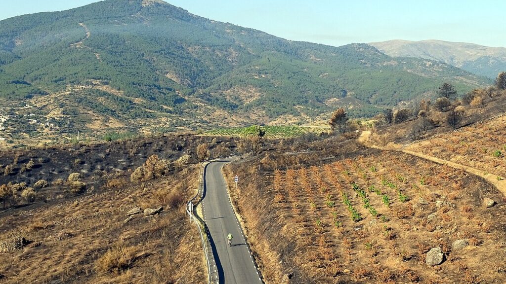 Paysage brûlé par un incendie dans le sud d’Ávila, en Espagne